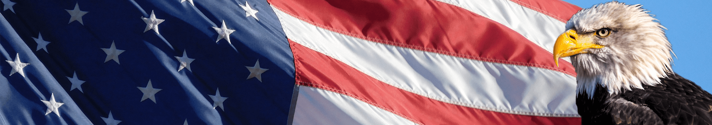 Flag Eagle